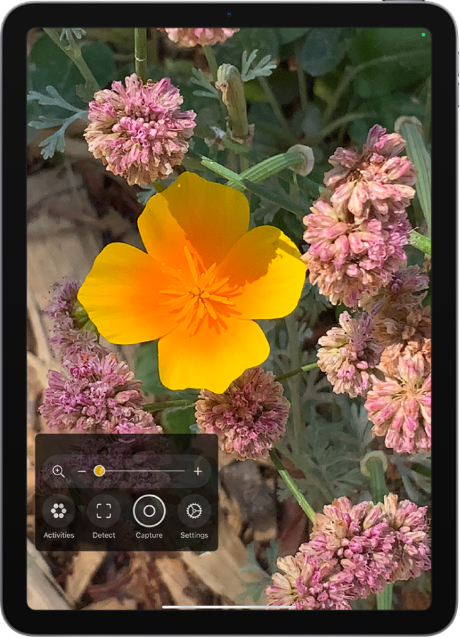 The Magnifier app showing a close-up of a flower.