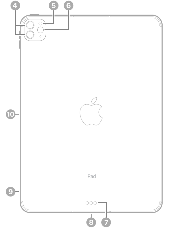 Vista posterior del iPad Pro con textos que indican la ubicación de las cámaras traseras y el flash en la parte superior izquierda, el Smart Connector y el conector Thunderbolt/USB 4 en la parte inferior central, la bandeja de la tarjeta SIM (Wi-Fi + Cellular) abajo a la izquierda y el conector magnético para el Apple Pencil a la izquierda.