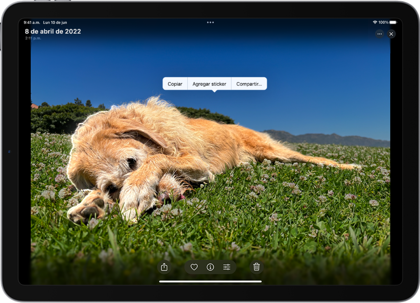 La app Fotos está abierta y muestra una foto de un perro. El perro se selecciona y la opción Agregar sticker está disponible en el menú de arriba.