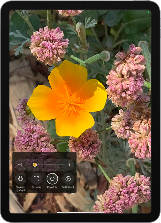 A Nagyító app, amelyen egy virág látható közelről.