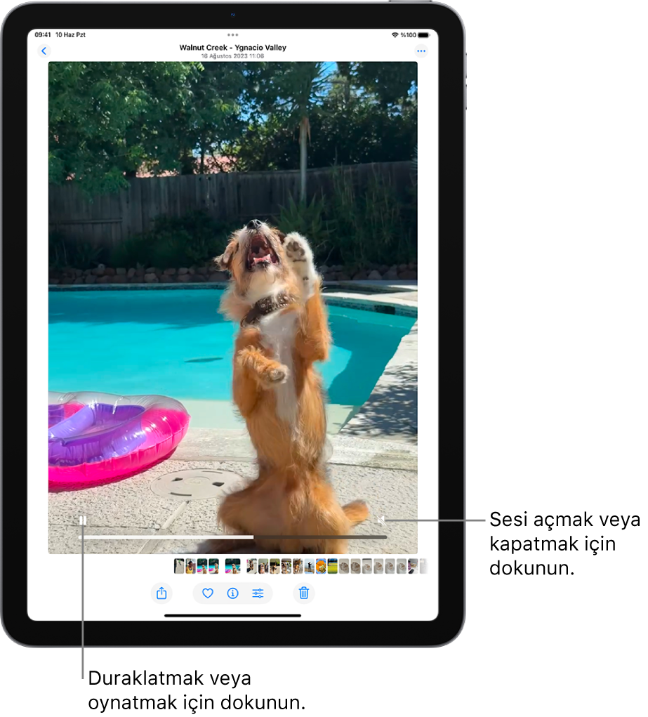 Fotoğraflar uygulaması video oynatıcı ekranın ortasında ve bir video oynatılıyor. Videonun en altında, soldan sağa doğru Oynat/Duraklat düğmesi, bir ilerleme çubuğu ve Sesi Kapat/Ses Yüksekliği düğmesi bulunuyor.