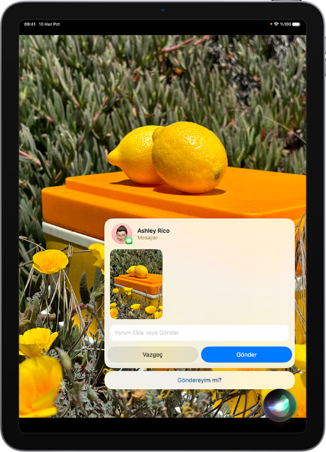 Siri dinliyor uygulamasının sağ alt köşede ve onun üst tarafında gönderilmeye hazır mesaj biçiminde Siri yanıtının bulunduğu bir iPad ekranı.