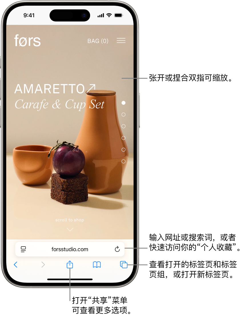 Safari 浏览器中打开了一个网站,地址栏显示在底部。底部从左到右依次为“返回”、“前进”、“共享”、“书签”和“标签页”按钮。